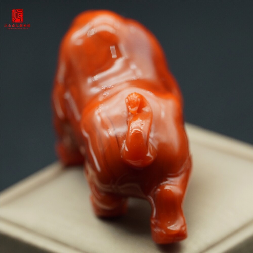 扭转乾坤图4