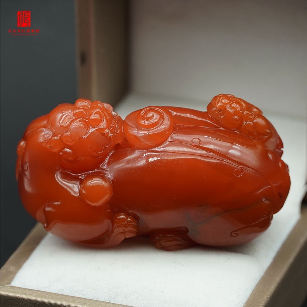 望子成龙图5