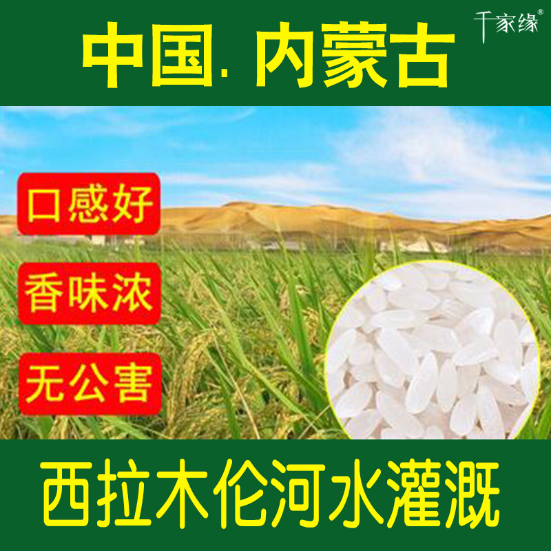 西拉木伦河水灌溉大米 内蒙大米东北